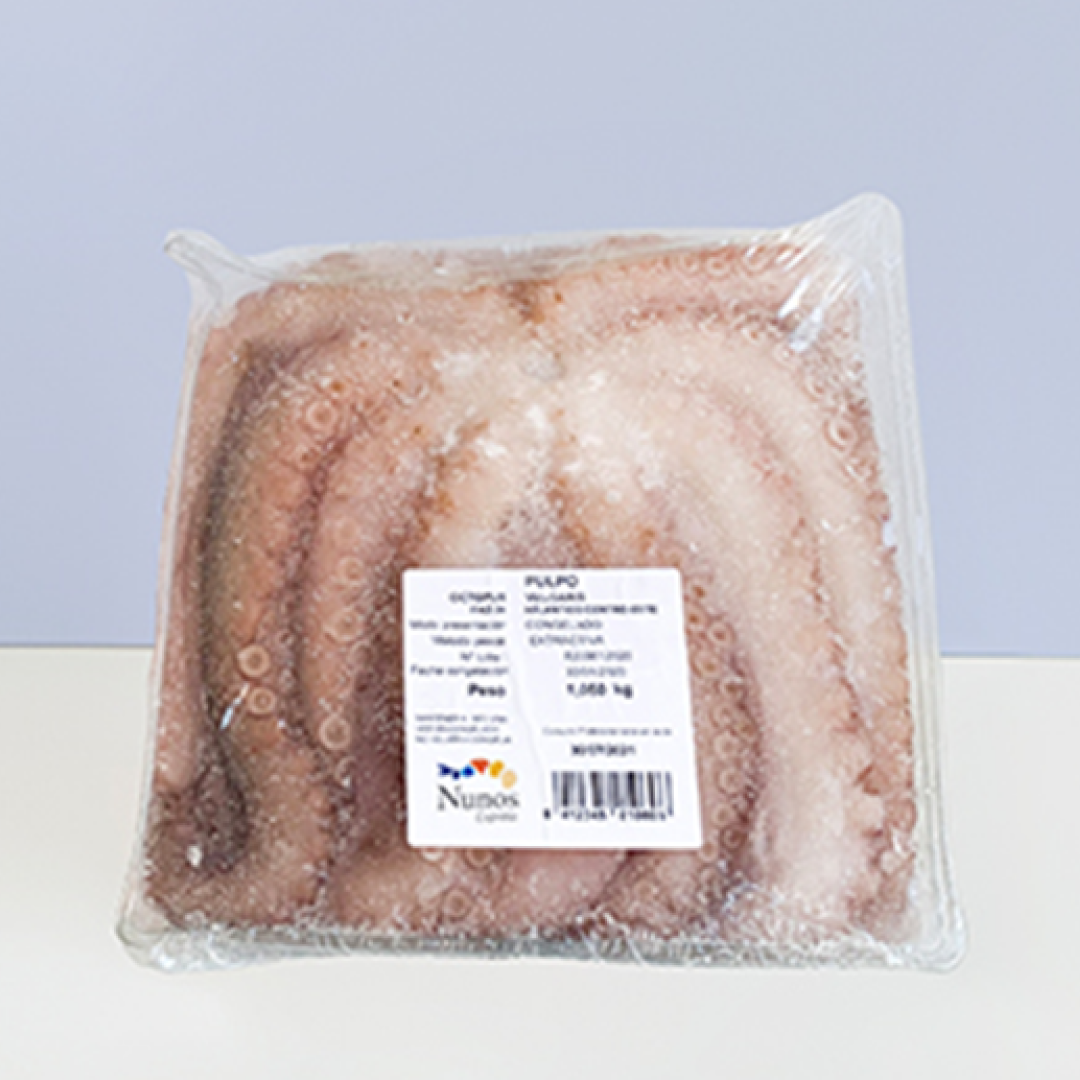 Pulpo - Image 3